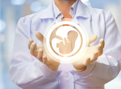 Embryo transfer with Hyaluronan (Embryo Glue)