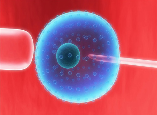Our view on mitochondrial transfer