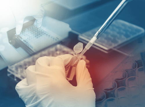 Frozen embryo transfer (FET)